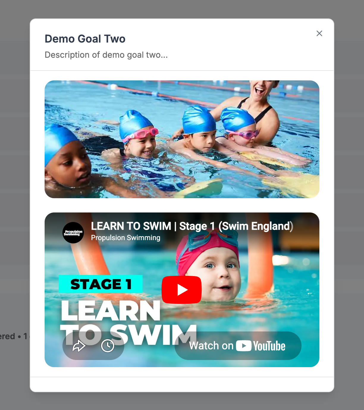 Goal details dialog